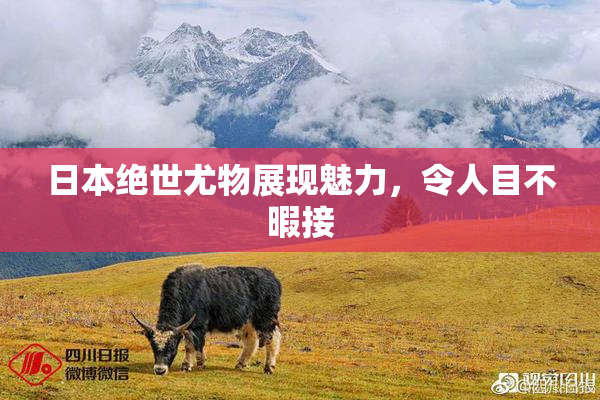 日本绝世尤物展现魅力，令人目不暇接