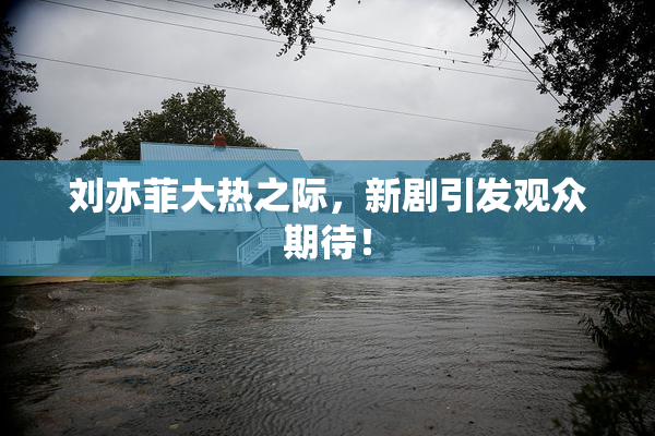 刘亦菲大热之际，新剧引发观众期待！