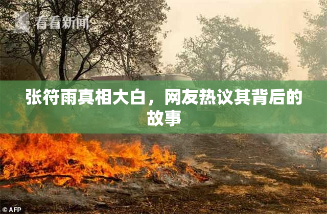 张符雨真相大白，网友热议其背后的故事
