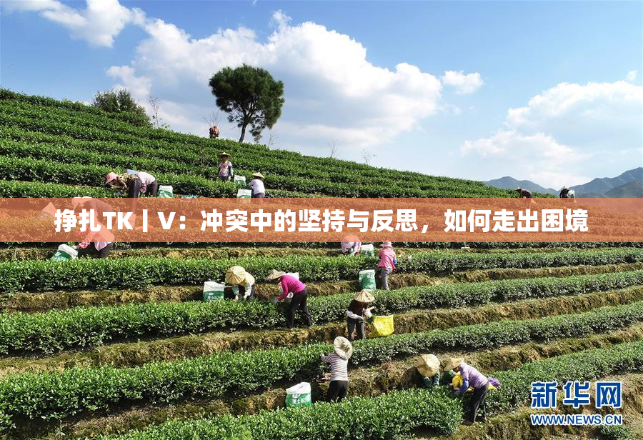 挣扎TK丨V：冲突中的坚持与反思，如何走出困境