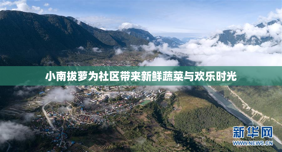 小南拔萝为社区带来新鲜蔬菜与欢乐时光