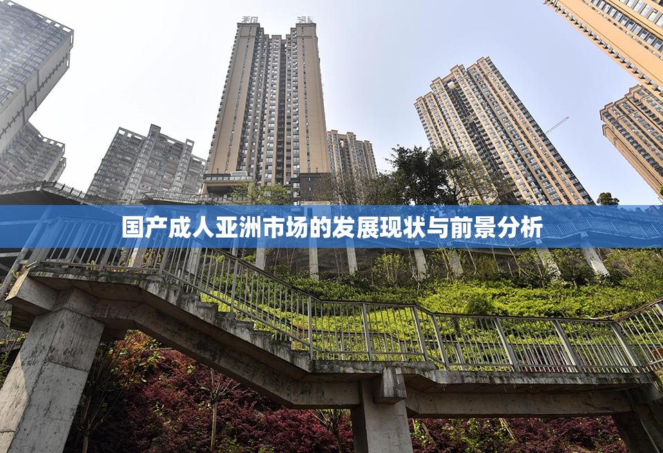 国产成人亚洲市场的发展现状与前景分析