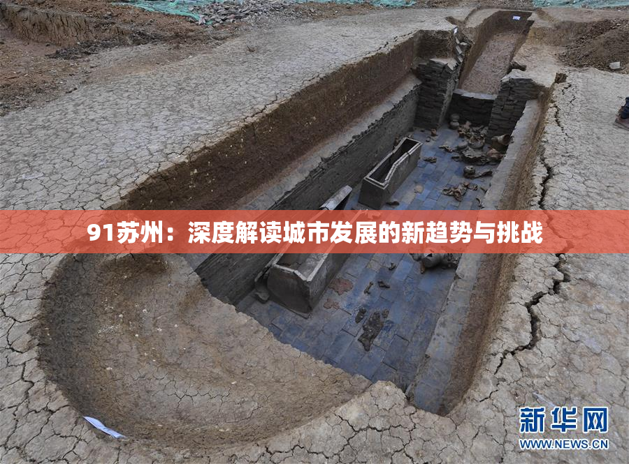 91苏州：深度解读城市发展的新趋势与挑战