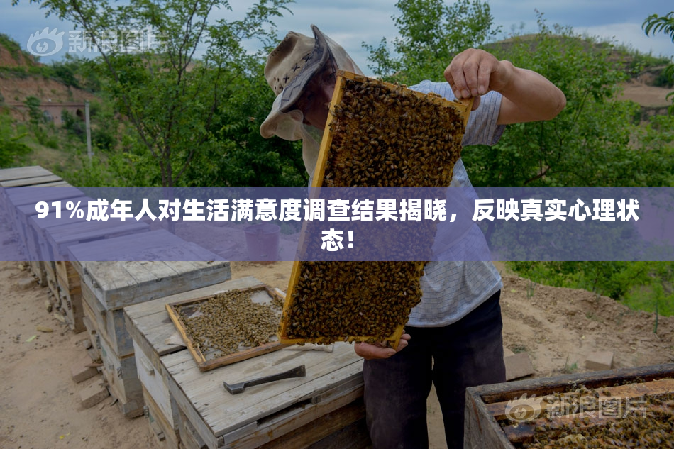 91%成年人对生活满意度调查结果揭晓，反映真实心理状态！
