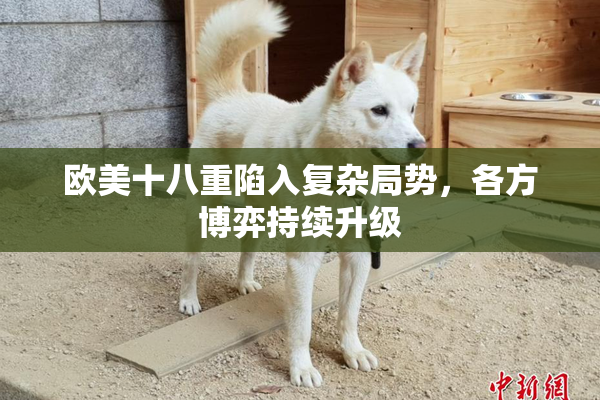 欧美十八重陷入复杂局势，各方博弈持续升级