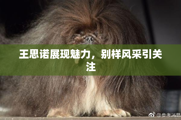王思诺展现魅力，别样风采引关注