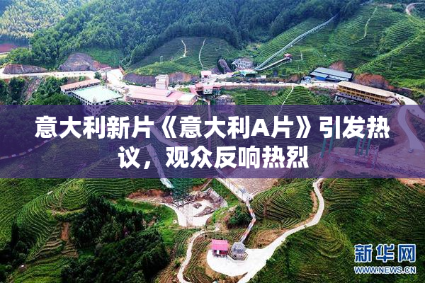 意大利新片《意大利A片》引发热议，观众反响热烈
