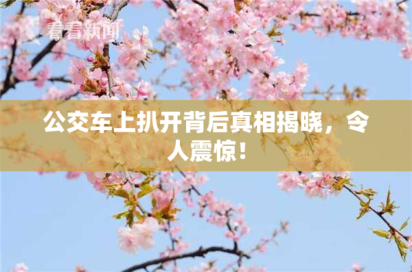 公交车上扒开背后真相揭晓，令人震惊！