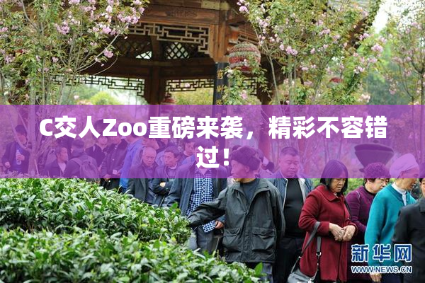 C交人Zoo重磅来袭，精彩不容错过！