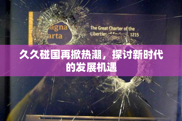 久久碰国再掀热潮，探讨新时代的发展机遇