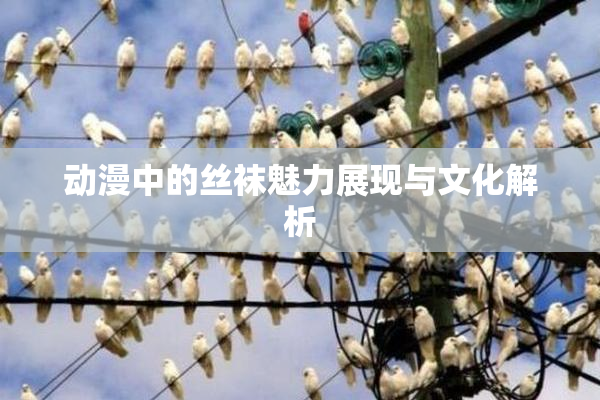 动漫中的丝袜魅力展现与文化解析