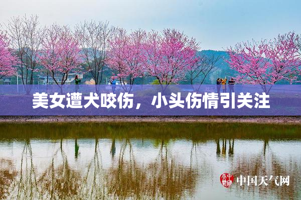 美女遭犬咬伤，小头伤情引关注