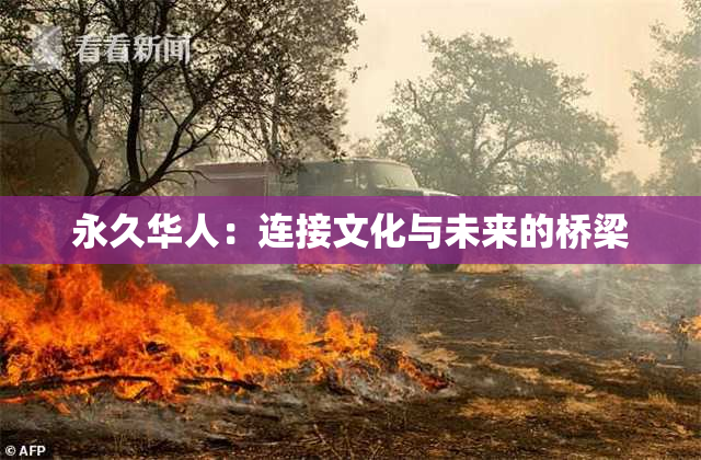 永久华人：连接文化与未来的桥梁
