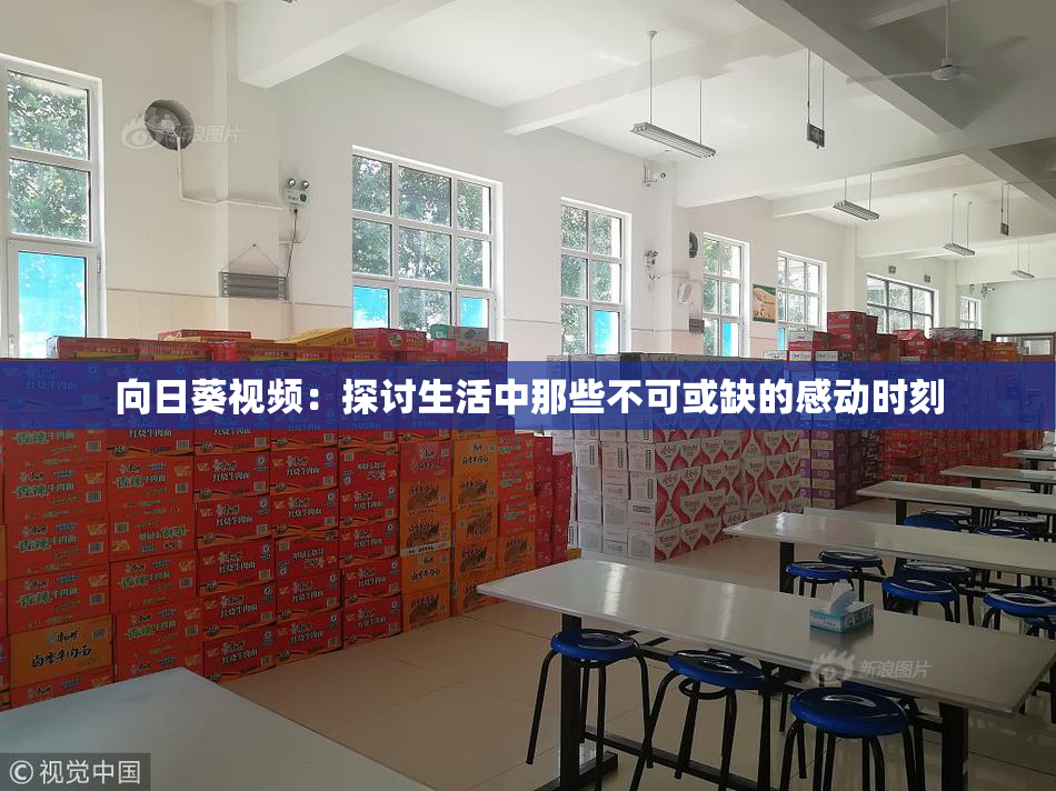 向日葵视频：探讨生活中那些不可或缺的感动时刻