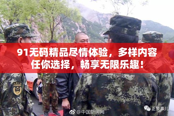 91无码精品尽情体验，多样内容任你选择，畅享无限乐趣！