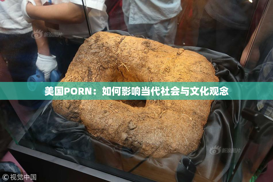 美国PORN：如何影响当代社会与文化观念