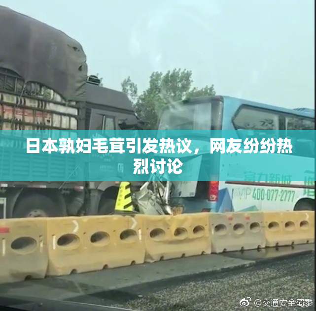 日本孰妇毛茸引发热议，网友纷纷热烈讨论