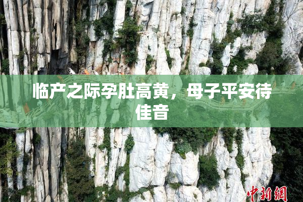 临产之际孕肚高黄，母子平安待佳音