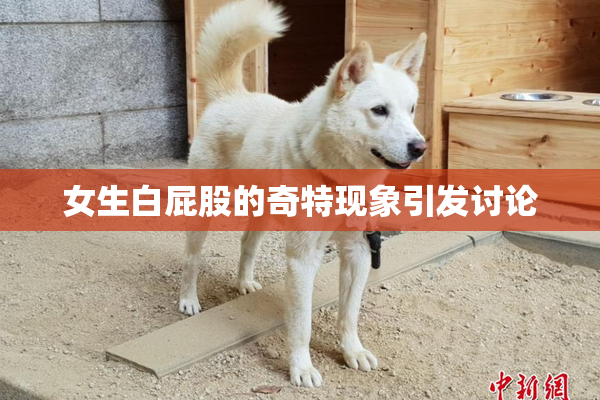 女生白屁股的奇特现象引发讨论