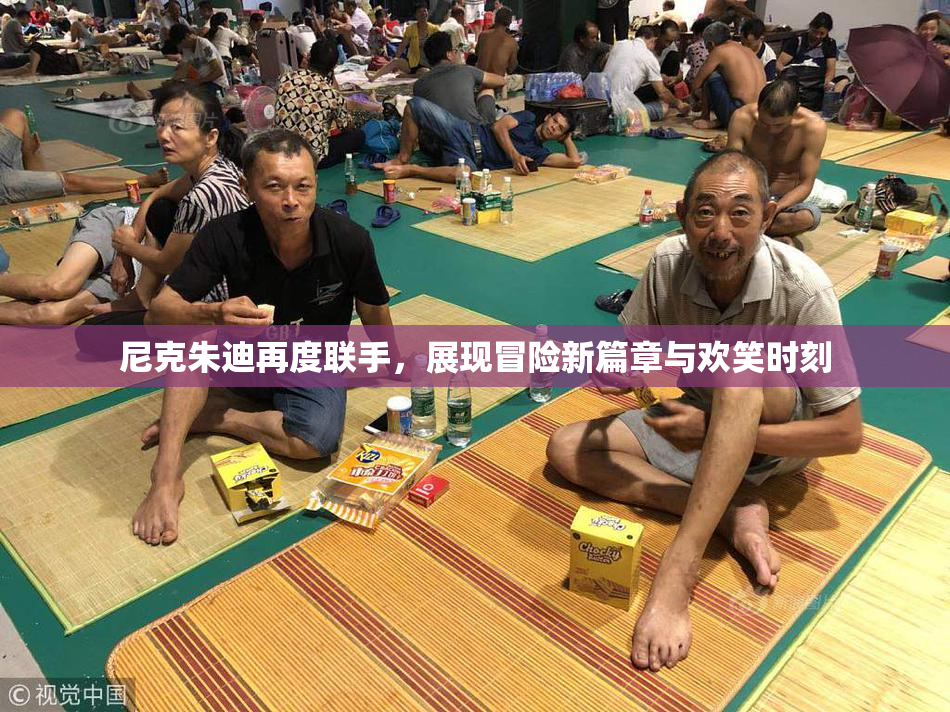 尼克朱迪再度联手，展现冒险新篇章与欢笑时刻