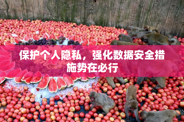保护个人隐私，强化数据安全措施势在必行