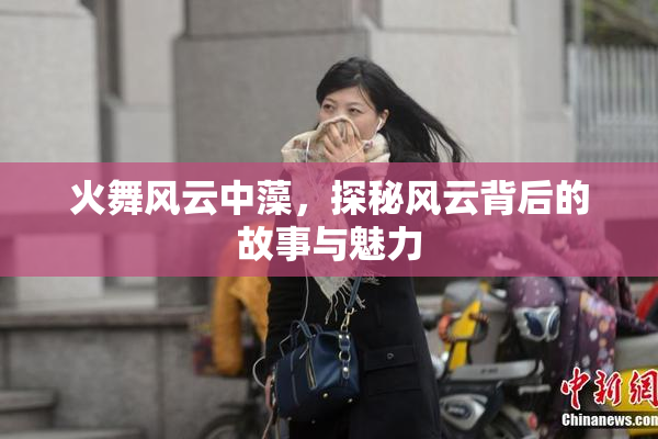 火舞风云中藻，探秘风云背后的故事与魅力