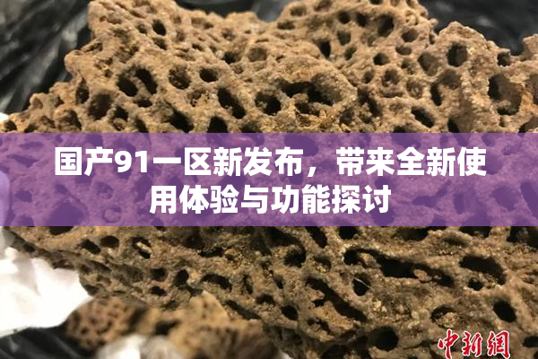 国产91一区新发布，带来全新使用体验与功能探讨