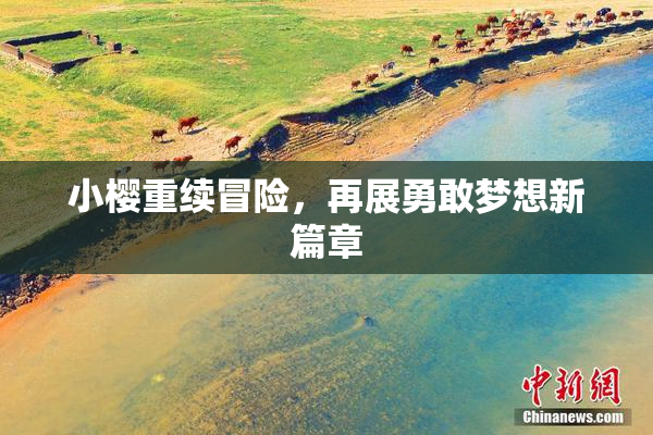 小樱重续冒险，再展勇敢梦想新篇章
