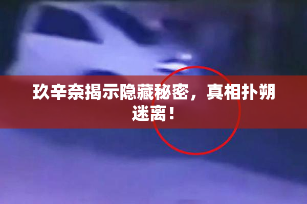 玖辛奈揭示隐藏秘密，真相扑朔迷离！