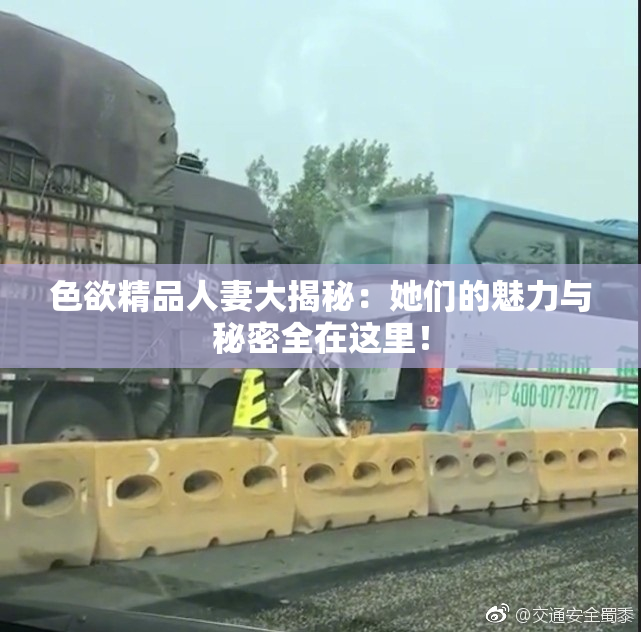 色欲精品人妻大揭秘：她们的魅力与秘密全在这里！