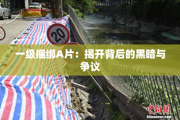 一级捆绑A片：揭开背后的黑暗与争议