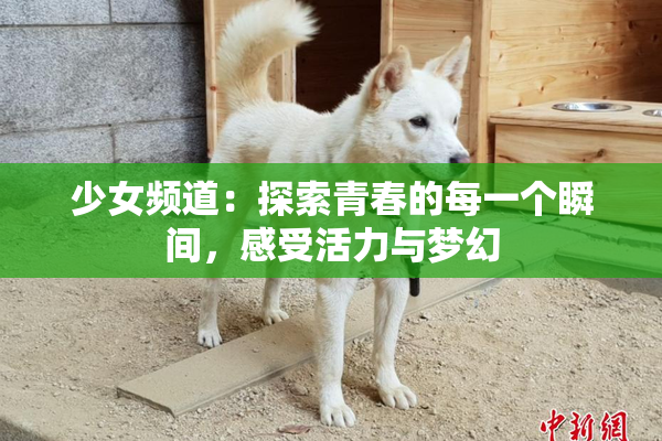 少女频道：探索青春的每一个瞬间，感受活力与梦幻
