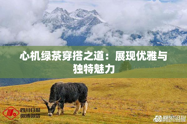 心机绿茶穿搭之道：展现优雅与独特魅力