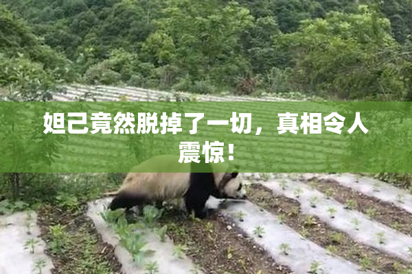 妲己竟然脱掉了一切，真相令人震惊！
