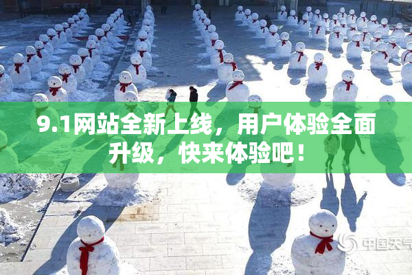 9.1网站全新上线，用户体验全面升级，快来体验吧！