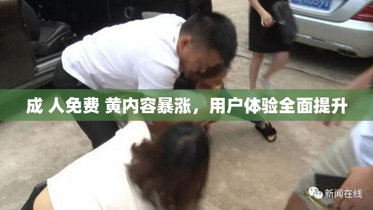 成 人免费 黄内容暴涨，用户体验全面提升