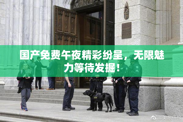 国产免费午夜精彩纷呈，无限魅力等待发掘！