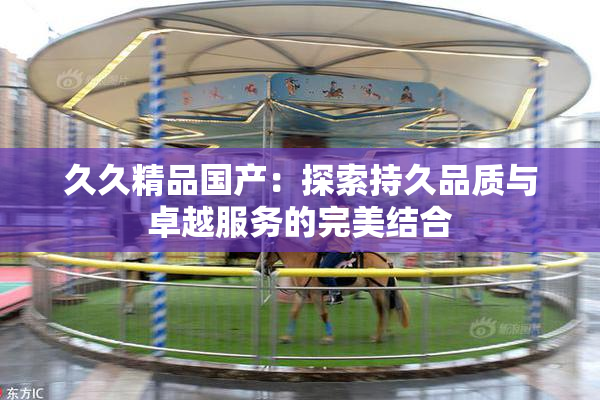 久久精品国产：探索持久品质与卓越服务的完美结合