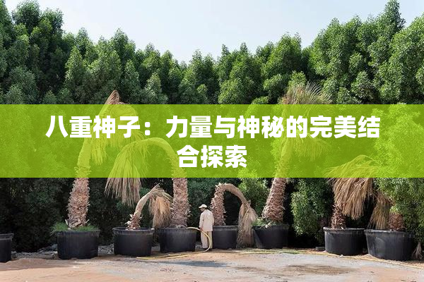 八重神子：力量与神秘的完美结合探索