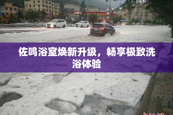 佐鸣浴室焕新升级，畅享极致洗浴体验
