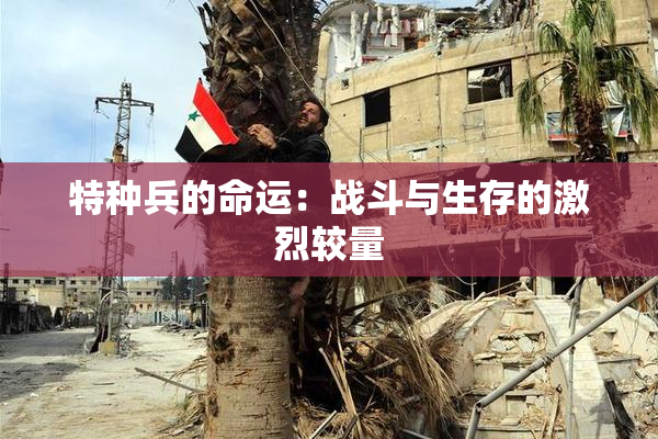 特种兵的命运：战斗与生存的激烈较量