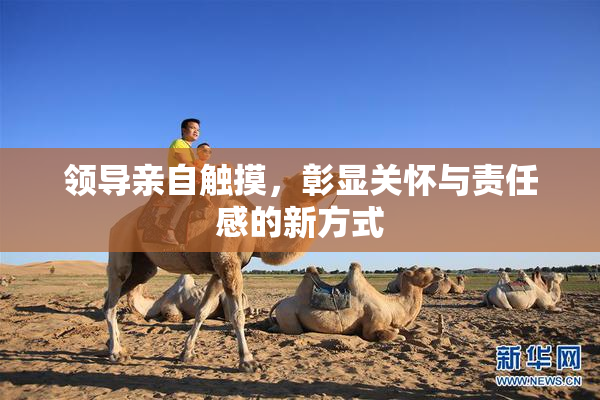 领导亲自触摸，彰显关怀与责任感的新方式