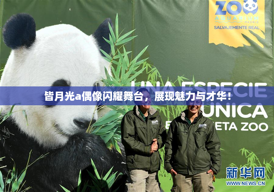皆月光a偶像闪耀舞台，展现魅力与才华！