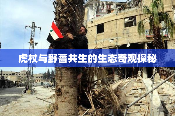 虎杖与野蔷共生的生态奇观探秘
