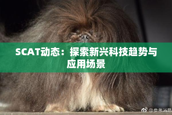 SCAT动态：探索新兴科技趋势与应用场景