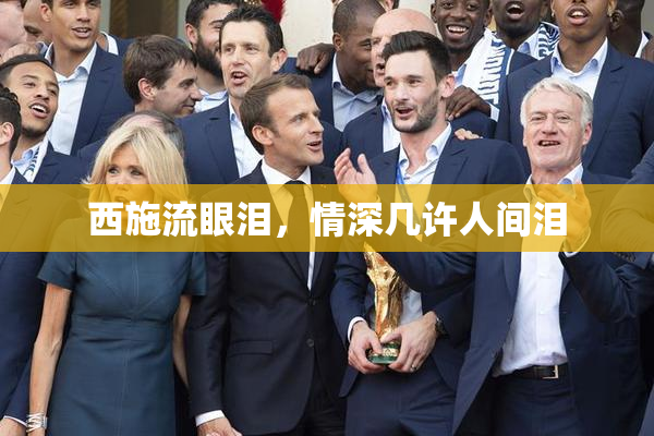 西施流眼泪，情深几许人间泪