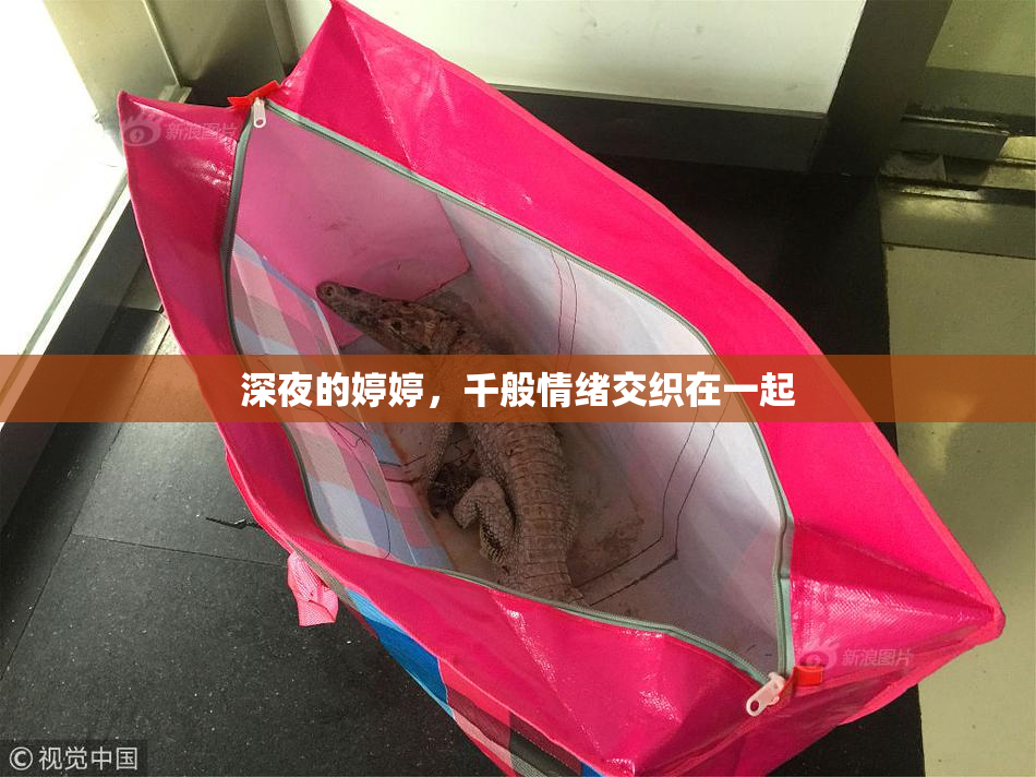 深夜的婷婷，千般情绪交织在一起