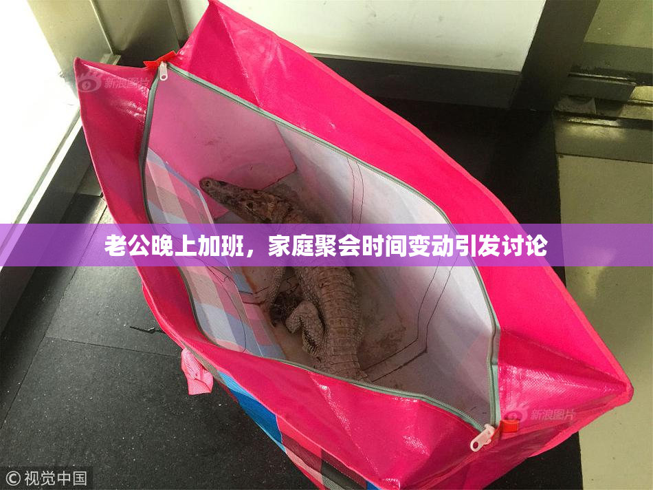 老公晚上加班，家庭聚会时间变动引发讨论