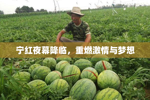 宁红夜幕降临，重燃激情与梦想