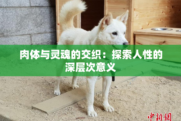 肉体与灵魂的交织：探索人性的深层次意义